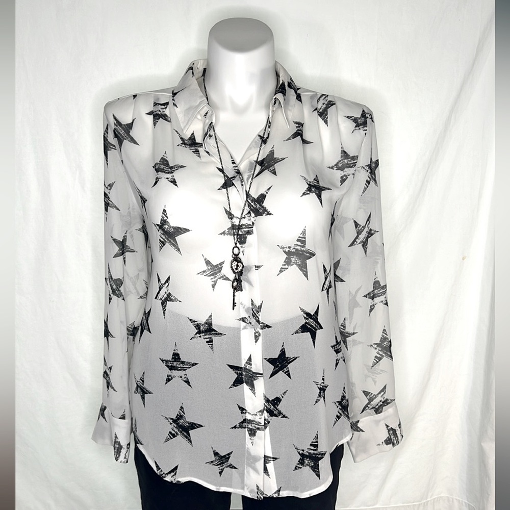 Chiffon long sleeve button down